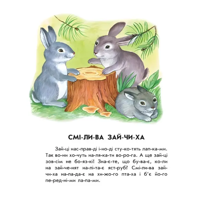 10 іс-то-рій по скла-дах : Лісовий концерт