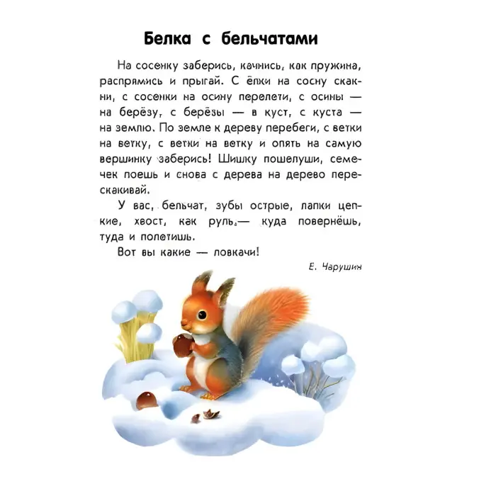 10 історій великим шрифтом. Про тварин (9789667482619)