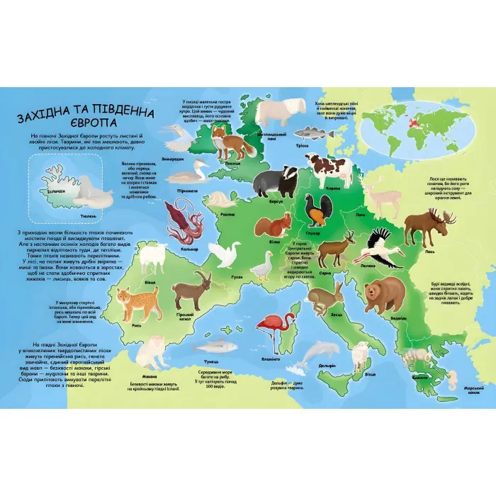 Альбом для наліпок. Кольоровий світ «Атлас тварин» Книга з наклейками (9789669472946)