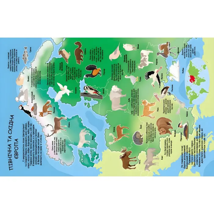 Альбом для наліпок. Кольоровий світ «Атлас тварин» Книга з наклейками (9789669472946)