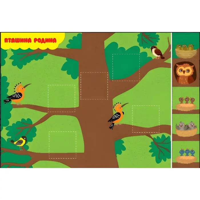 Аплікації з наліпками — Ліс (9786175444474)