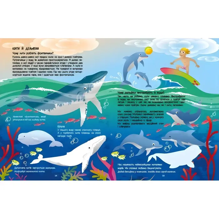 Блакитна книжка про море. Пізнавальна книжка – Коваль Н. (Укр) АРТ (9786170975898)