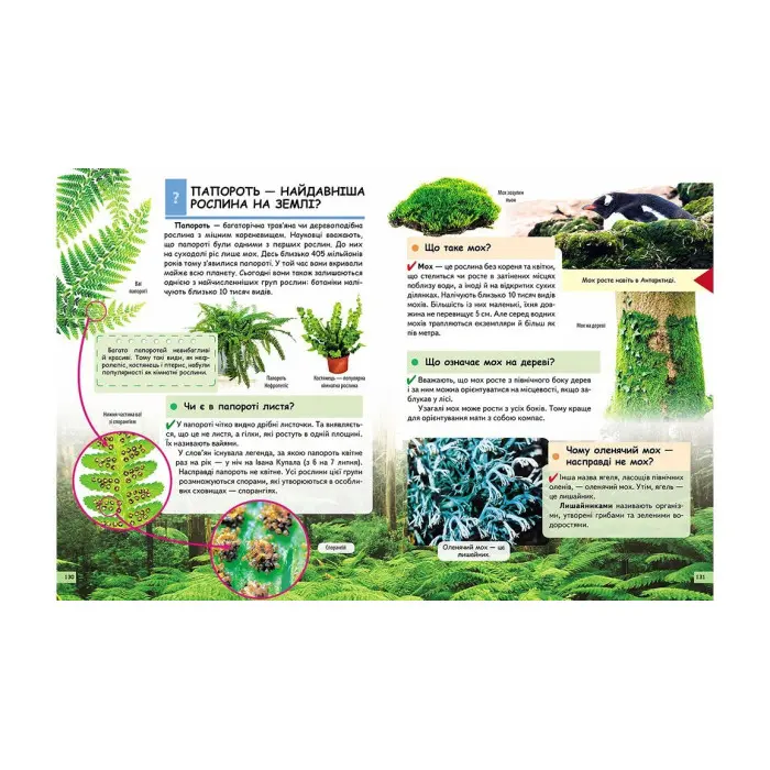 Чомусикам про все на світі