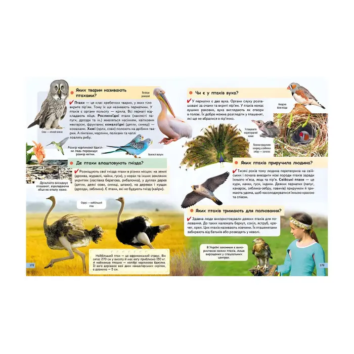 Чомусикам про все на світі