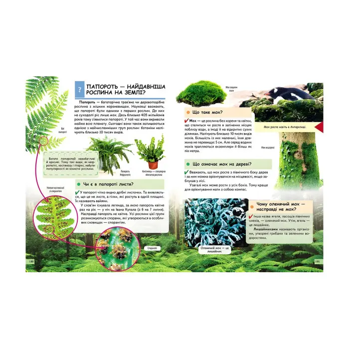 Чомусикам про все на світі