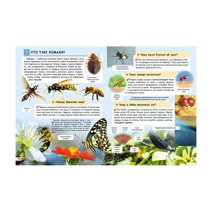 Чомусикам про все на світі