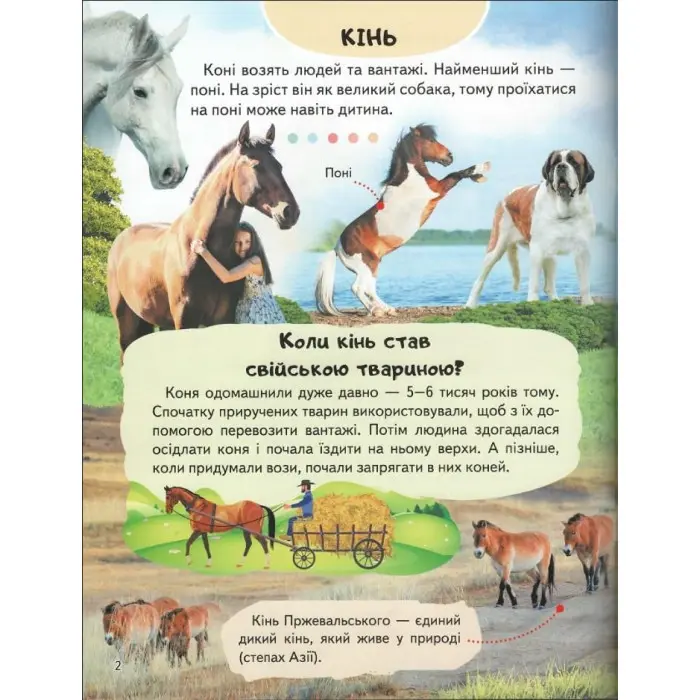 Цікава енциклопедія «Ферма» Книга для дітей (9789664668184)