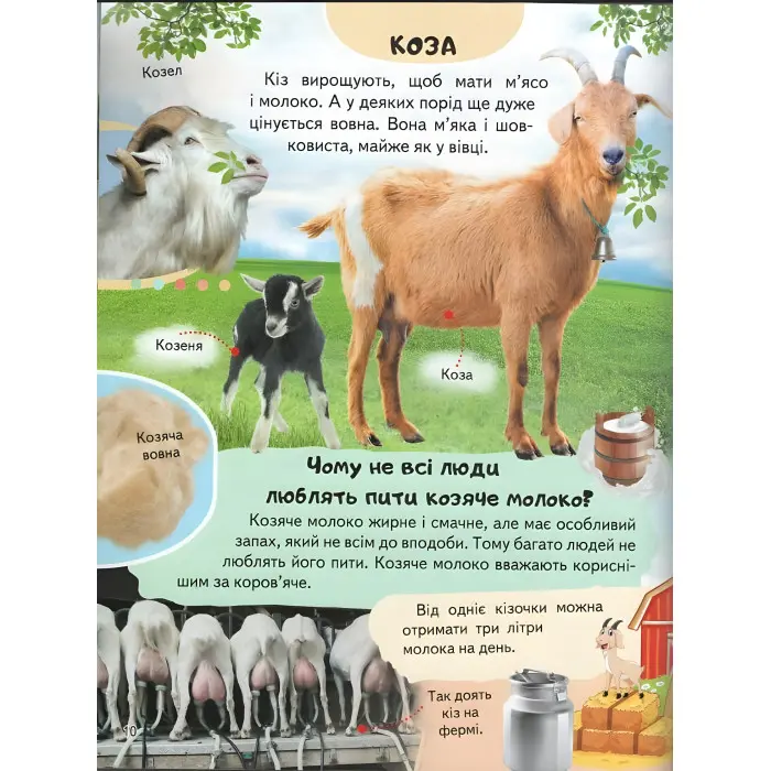 Цікава енциклопедія «Ферма» Книга для дітей (9789664668184)