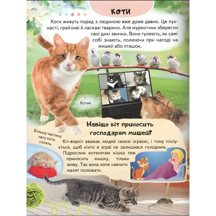 Цікава енциклопедія «Ферма» Книга для дітей (9789664668184)