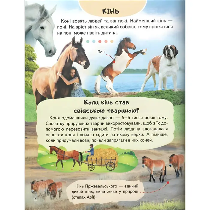 Цікава енциклопедія «Ферма» Книга для дітей (9789664668184)