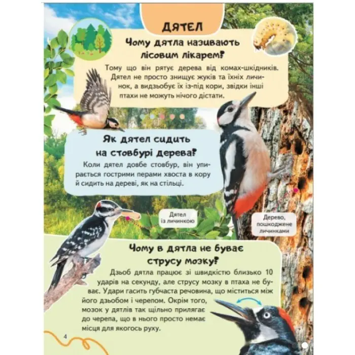 Цікава енциклопедія "Птахи* Книга для дітей (9786178638344)