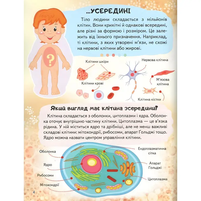 Цікава енциклопедія «Тіло людини» Книга для дітей (9789664668221)