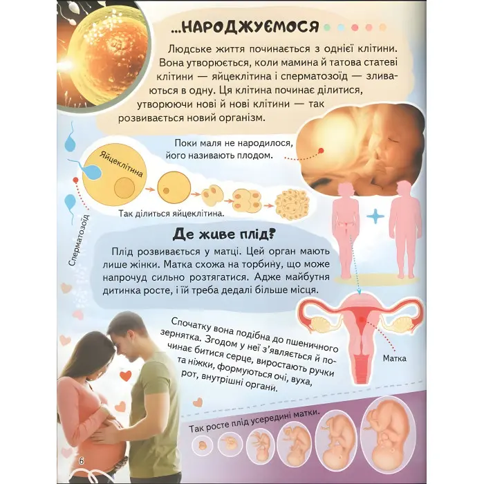 Цікава енциклопедія «Тіло людини» Книга для дітей (9789664668221)