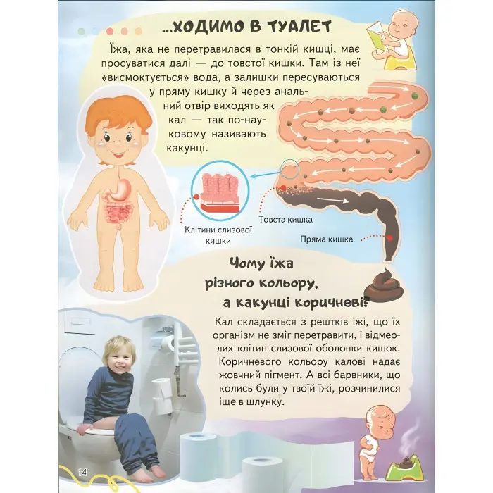 Цікава енциклопедія «Тіло людини» Книга для дітей (9789664668221)