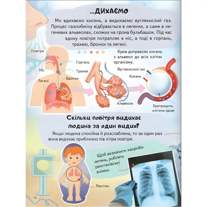 Цікава енциклопедія «Тіло людини» Книга для дітей (9789664668221)