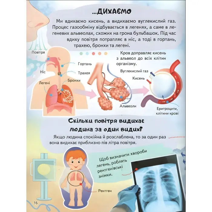 Цікава енциклопедія «Тіло людини» Книга для дітей (9789664668221)