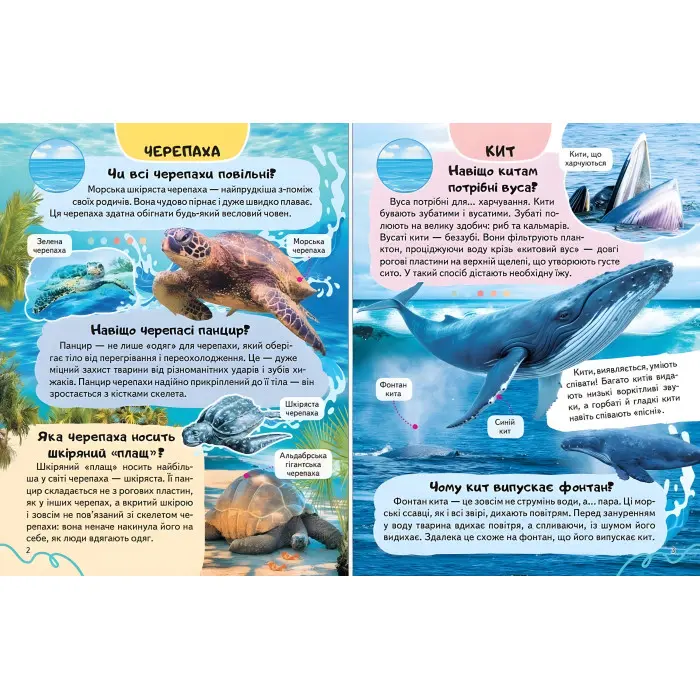 Цікава енциклопедія "Тварини водного світу" Книга для дітей (9786178638313)