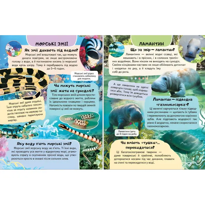 Цікава енциклопедія "Тварини водного світу" Книга для дітей (9786178638313)