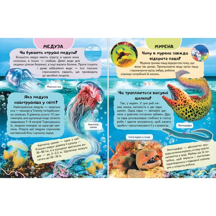 Цікава енциклопедія "Тварини водного світу" Книга для дітей (9786178638313)