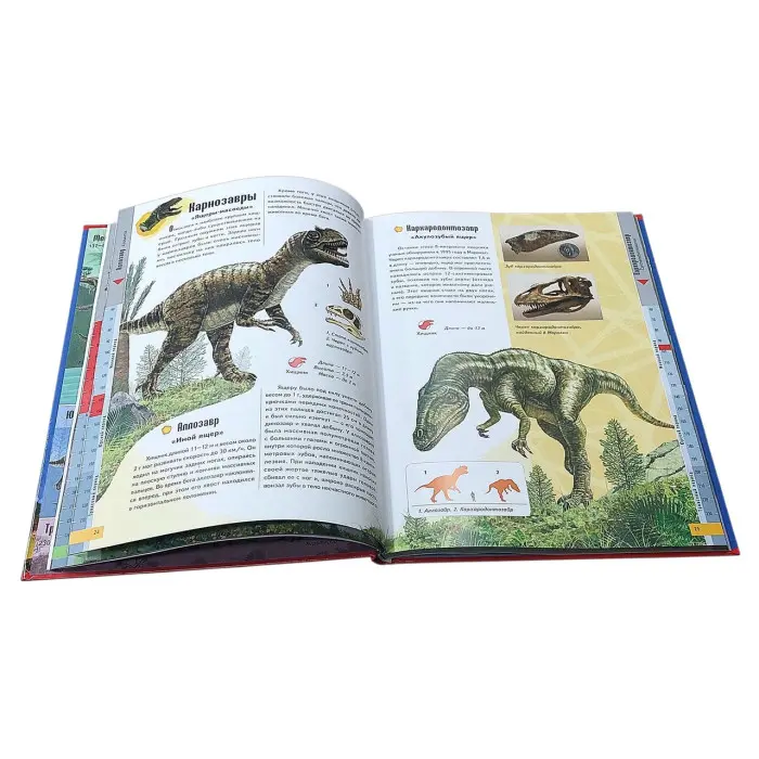Цікавий світ Енциклопедія «Динозаври» - Пізнавальна книга для дітей (рос) (9789669134974)