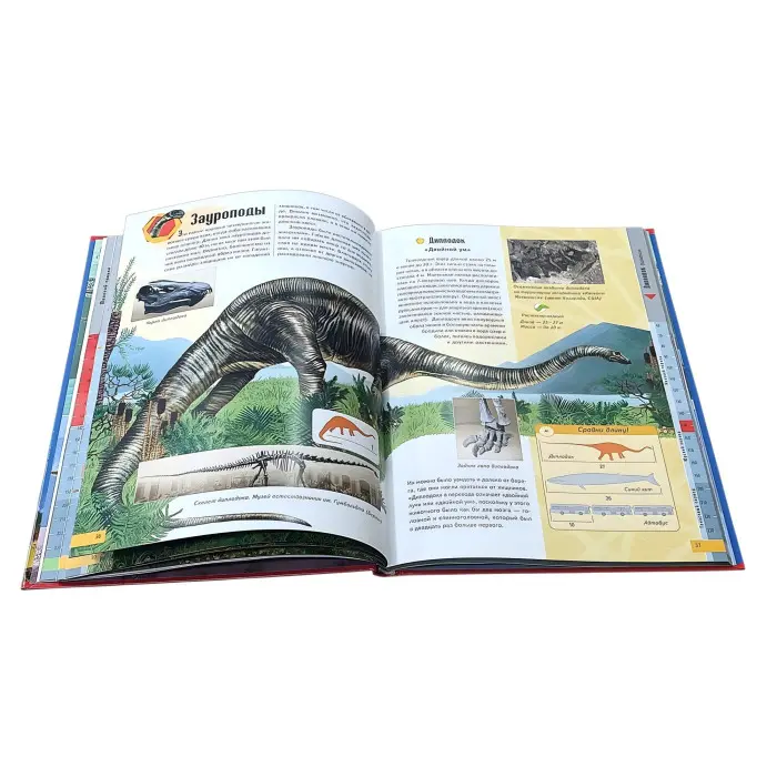 Цікавий світ Енциклопедія «Динозаври» - Пізнавальна книга для дітей (рос) (9789669134974)