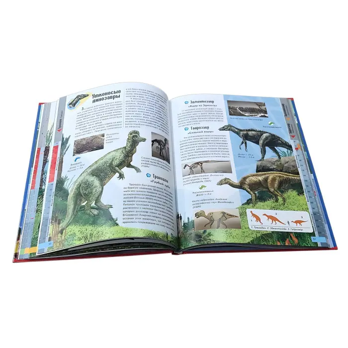 Цікавий світ Енциклопедія «Динозаври» - Пізнавальна книга для дітей (рос) (9789669134974)
