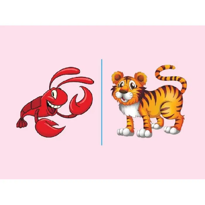 Дидактичні матеріали. Навчальне ДОМІНО. Звуковий ланцюжок. НУД019