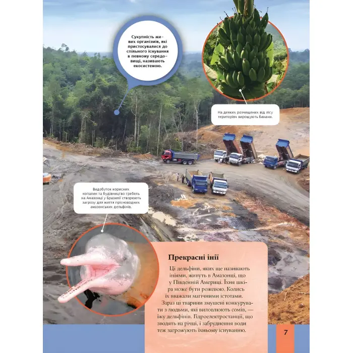 Дитяча енциклопедія довкілля - Гелен Дваєр (9786171704831)