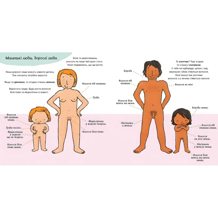 Дітям про інтимне. Звідки беруться діти?