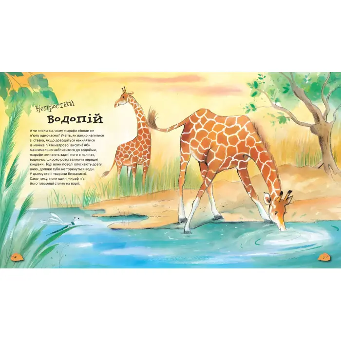 Дивовижі тваринного світу