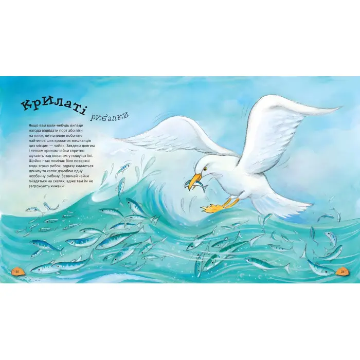 Дивовижі тваринного світу