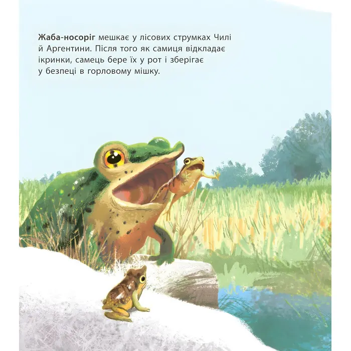 Дивовижні дитинчата тварин