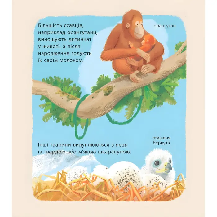 Дивовижні дитинчата тварин