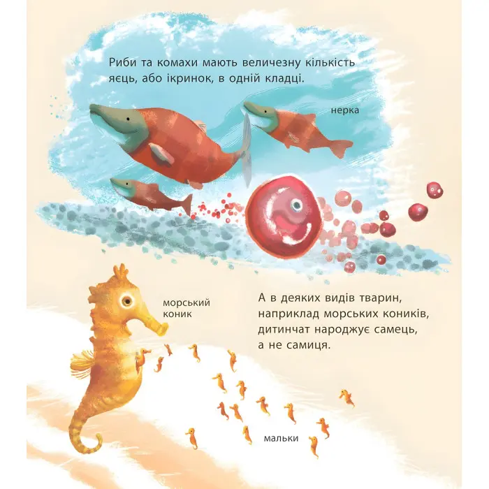 Дивовижні дитинчата тварин