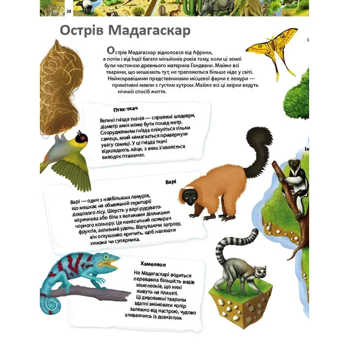 Дивовижний світ тварин. Дитяча енциклопедія