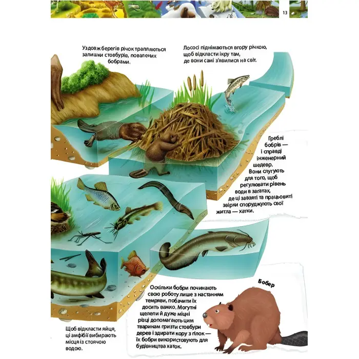 Дивовижний світ тварин. Дитяча енциклопедія