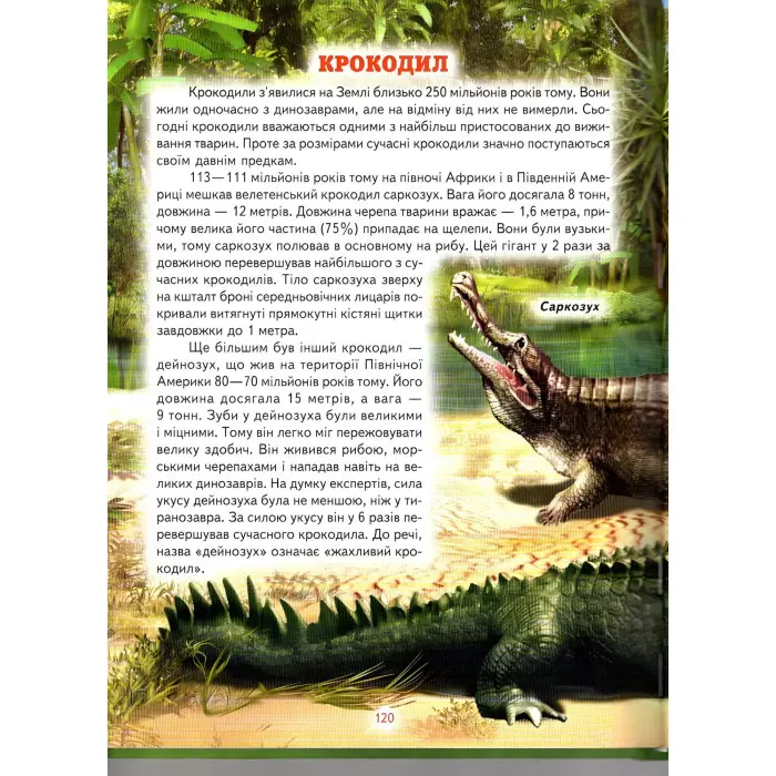 Енциклопедія для чомучок «Доісторичні тварини» Книжка 3 (зел) - пізнавальна книга для дітей (9789661694933)