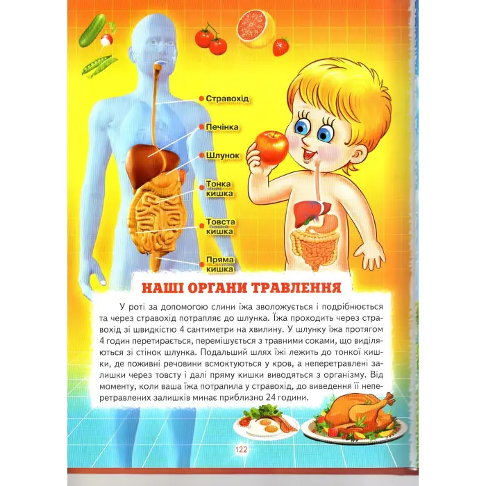 Енциклопедія для чомучок «Космос – Рослини – Тварини – Тіло людини» Книжка 1 (чер) (9789661694629)