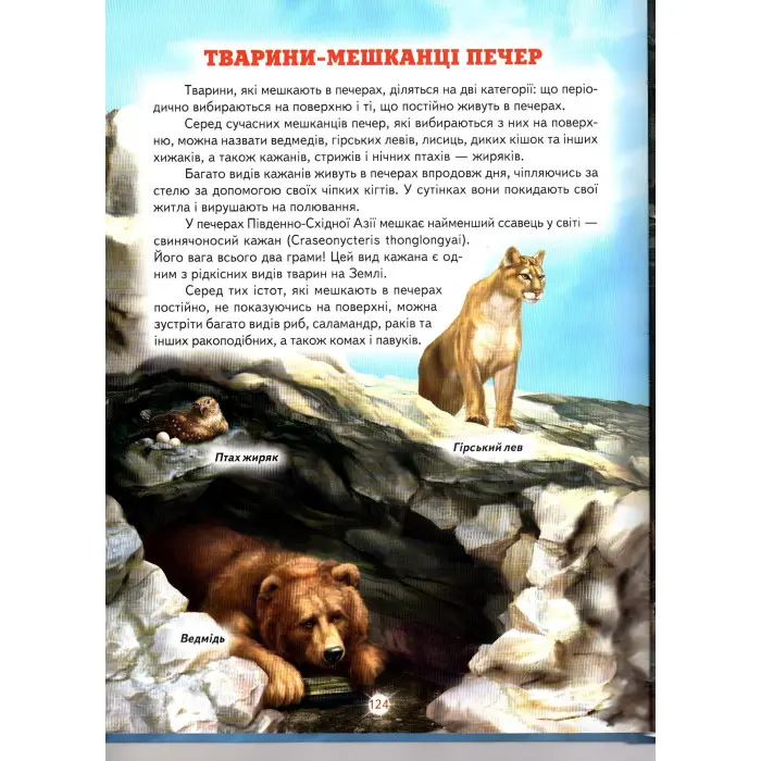 Енциклопедія для чомучок «Океани, моря, річки та прояви природи» Книжка 2 (син) (9789661694858)