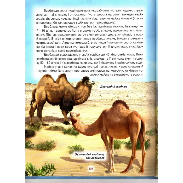 Енциклопедія для чомучок «Океани, моря, річки та прояви природи» Книжка 2 (син) (9789661694858)