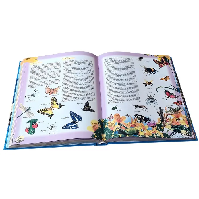 Энциклопедия для детей – Познавательная книга для школьников (9789667991883)