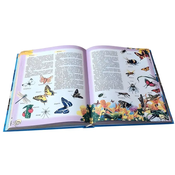 Энциклопедия для детей – Познавательная книга для школьников (9789667991883)