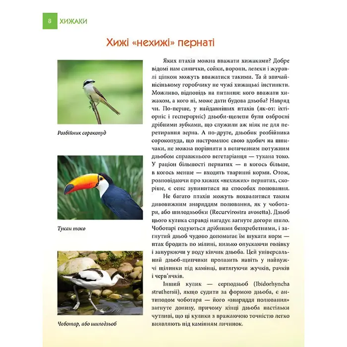 Енциклопедія для допитливих. Хижаки (9789669355874)