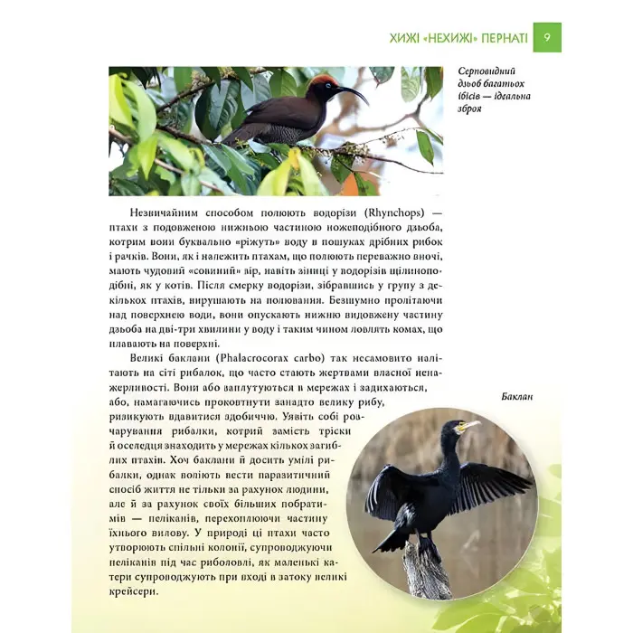 Енциклопедія для допитливих. Хижаки (9789669355874)