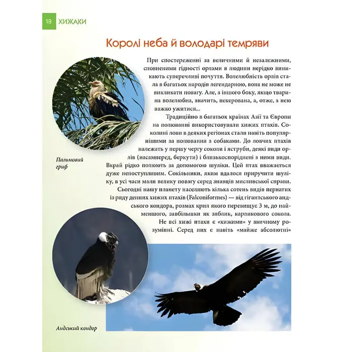 Енциклопедія для допитливих. Хижаки (9789669355874)