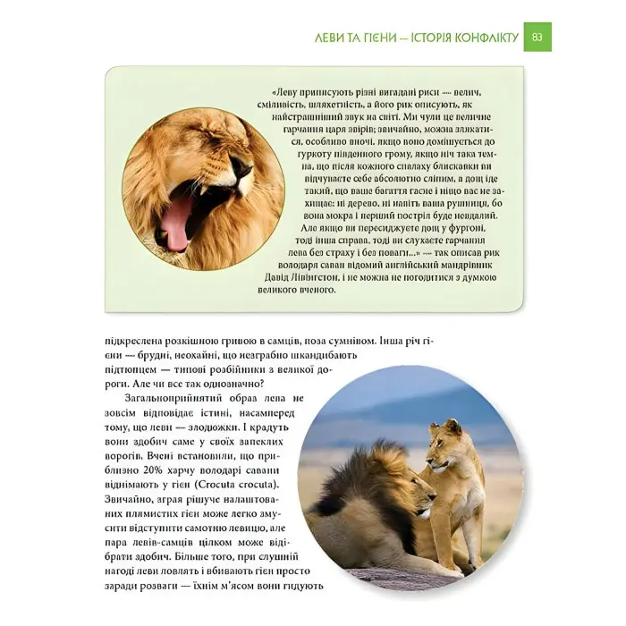 Енциклопедія для допитливих. Хижаки (9789669355874)