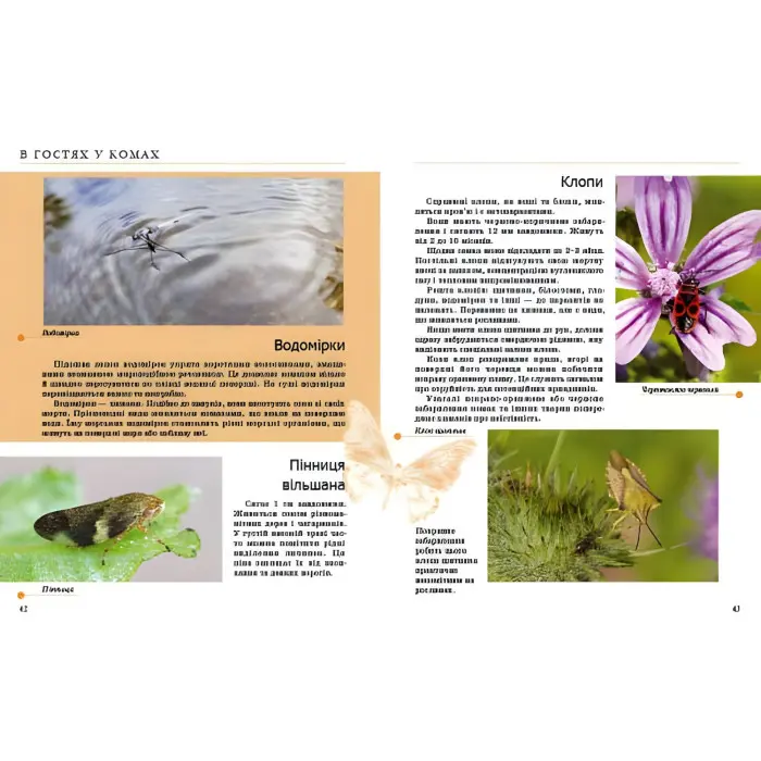 Енциклопедія для допитливих Комахи та інші (9789669352385)