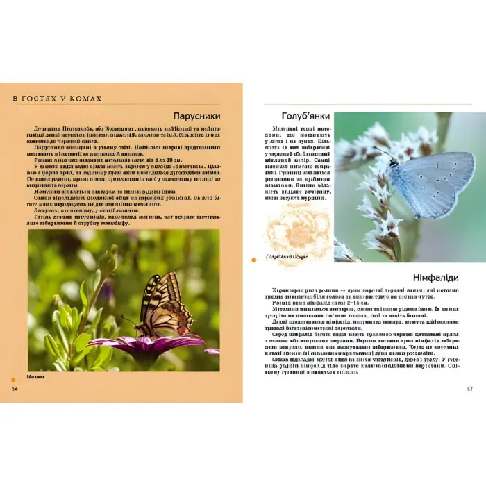 Енциклопедія для допитливих Комахи та інші (9789669352385)