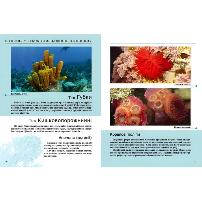 Енциклопедія для допитливих Комахи та інші (9789669352385)