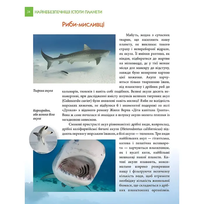 Енциклопедія для допитливих. Найнебезпечніші істоти планети (9789669355850)